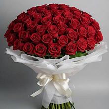 Букет 101 Красная роза Блэк Мэджик в Елках