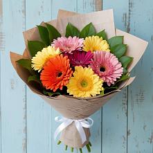 Букет цветов из:  Герберы #REPLACE_PRED# Елках