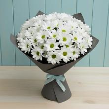 Букет цветов из:  Хризантемы #REPLACE_PRED# Елках