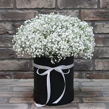 Цветочная композиция из Гипсофила в шляпной коробке в Елках