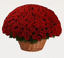 Премиум букет из: Розы #REPLACE_PRED# Елках